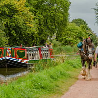 Buy canvas prints of Tiverton canal boat by Images of Devon