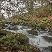 Buy canvas prints of River Taw below Belstone by Images of Devon