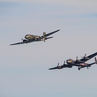 Buy canvas prints of Gladiators of the Sky by Images of Devon