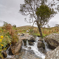 Buy canvas prints of River Lyd, Dartmoor National Park by Images of Devon