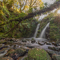 Buy canvas prints of Venford Falls, Dartmoor National Park by Images of Devon