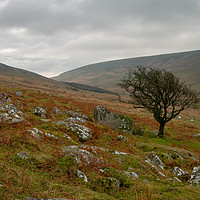 Buy canvas prints of Black Tor and Black-a-tor copse by Images of Devon