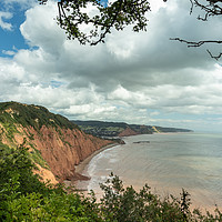 Buy canvas prints of Looking out to Sidmouth by Images of Devon
