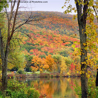 Buy canvas prints of Fall colors by Donna Duclos