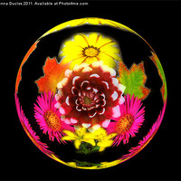 Buy canvas prints of Flower Sphere by Donna Duclos