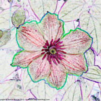 Buy canvas prints of Flower Art by Donna Duclos