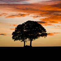 Buy canvas prints of Sunrise Silhouette by Ian Collins