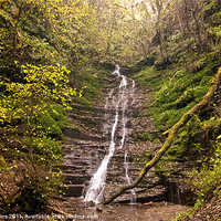 Buy canvas prints of Radnor Forest Waterfall by Ian Collins