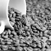 Buy canvas prints of Black and White Coffee Beans in a White Mug by Andrew Berry