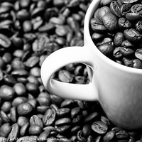 Buy canvas prints of Black and White Coffee Beans in a White Mug by Andrew Berry