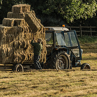 Buy canvas prints of Farmer hay stacking by Jack Jacovou Travellingjour