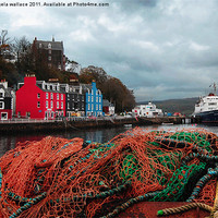 Buy canvas prints of Tobermory Port by Angela Wallace