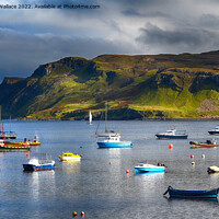 Buy canvas prints of The Harbour at Portree by Angela Wallace