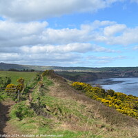 Buy canvas prints of The walk Ravenscar to Robin Hood Bay by Angela Wallace