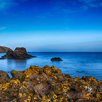 Buy canvas prints of Rugged Rocks of St Abbs by Angela Wallace