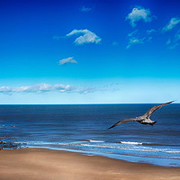 Buy canvas prints of A Birds Eye View by Angela Wallace