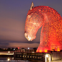 Buy canvas prints of Kelpie with reflections by Angela Wallace