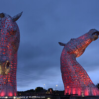 Buy canvas prints of The Kelpies  by Angela Wallace