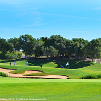 Buy canvas prints of On the Green at Oceanico Golf Vilamoura  by Angela Wallace