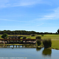 Buy canvas prints of Water Hazard at Oceanico Golf Vilamoura  by Angela Wallace