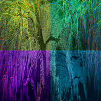 Buy canvas prints of ARTERIAL TREE by Robert Happersberg