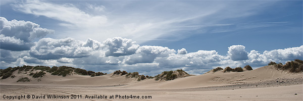 Sand Dunes Canvas Print by Dave Wilkinson North Devon Ph
