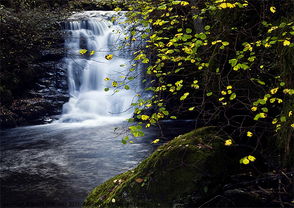 Waterfall Watersmeet River Lyn Picture Board by Dave Wilkinson North Devon Ph