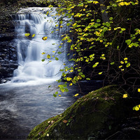 Buy canvas prints of Waterfall Watersmeet River Lyn by Dave Wilkinson North Devon Ph