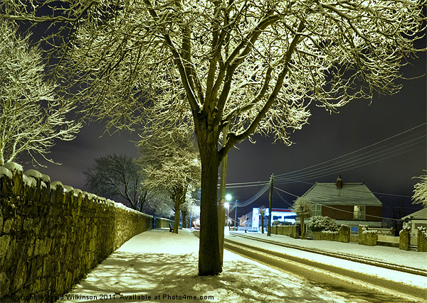 Snow Tree Picture Board by Dave Wilkinson North Devon Ph