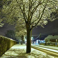 Buy canvas prints of Snow Tree by Dave Wilkinson North Devon Ph
