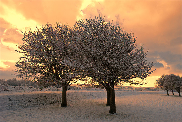 Snow Scene Picture Board by Dave Wilkinson North Devon Ph