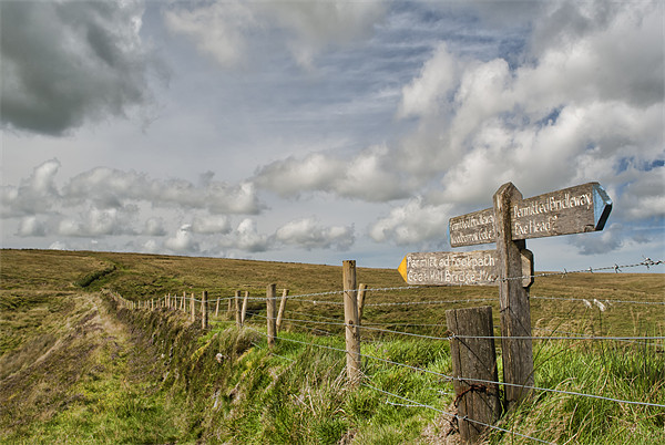 Exmoor Picture Board by Dave Wilkinson North Devon Ph