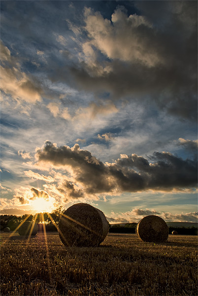 Straw Bales Sunset Picture Board by Dave Wilkinson North Devon Ph