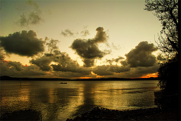 River Taw sunrise Picture Board by Dave Wilkinson North Devon Ph
