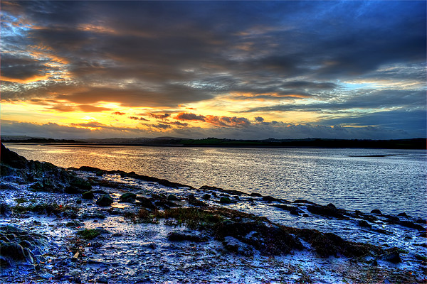 Majestic Sunrise over River Taw Picture Board by Dave Wilkinson North Devon Ph