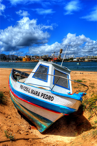 Portugees fishing boat Picture Board by Dave Wilkinson North Devon Ph