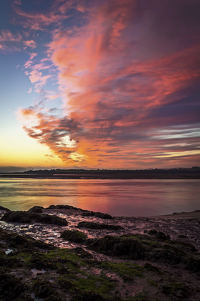 River Taw sunrise Picture Board by Dave Wilkinson North Devon Ph