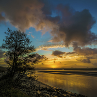 Buy canvas prints of River Taw sunrise by Dave Wilkinson North Devon Ph