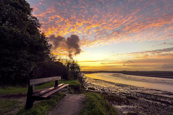 Early morning on the River Taw Picture Board by Dave Wilkinson North Devon Ph
