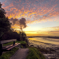 Buy canvas prints of Early morning on the River Taw by Dave Wilkinson North Devon Ph