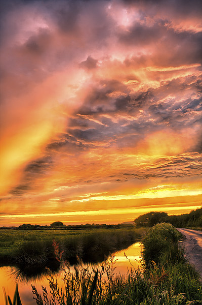 Sunset by Braunton Marsh Picture Board by Dave Wilkinson North Devon Ph