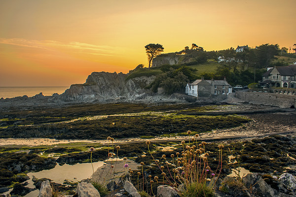 Lee Bay sunrise Picture Board by Dave Wilkinson North Devon Ph