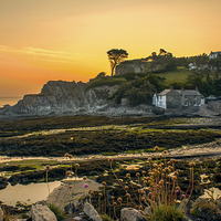 Buy canvas prints of Lee Bay sunrise by Dave Wilkinson North Devon Ph