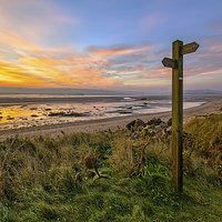 Buy canvas prints of Sign Post, Broadsands, Crow Point. by Dave Wilkinson North Devon Ph