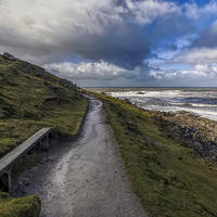 Buy canvas prints of Path to Morte Point by Dave Wilkinson North Devon Ph