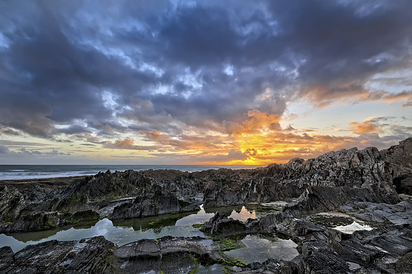Rock Pool sunset Picture Board by Dave Wilkinson North Devon Ph