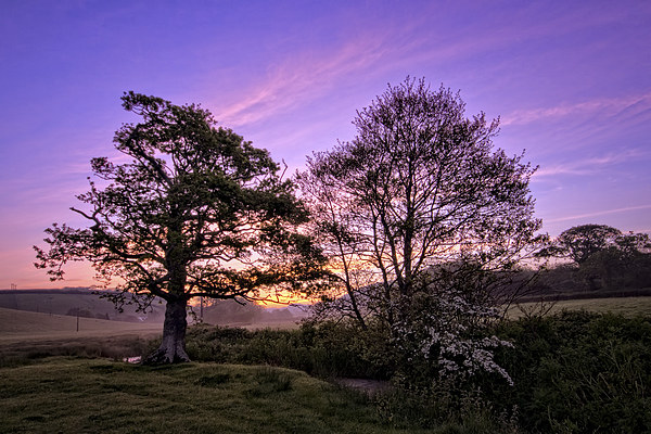 Knowl Water sunrise Picture Board by Dave Wilkinson North Devon Ph