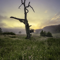 Buy canvas prints of Misty summer sunrise by Dave Wilkinson North Devon Ph