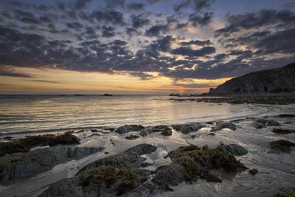  Lee Bay sunrise Picture Board by Dave Wilkinson North Devon Ph