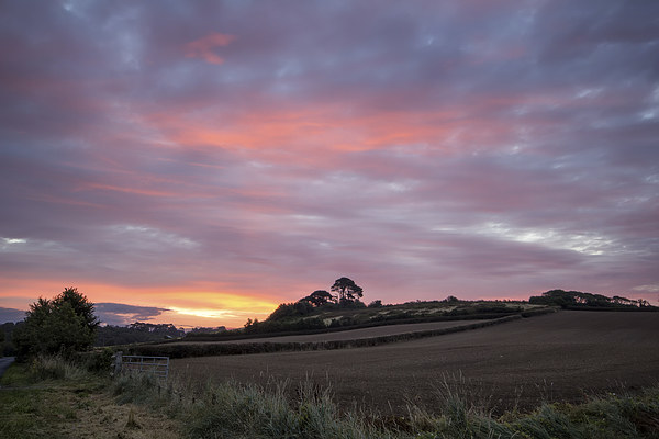  North Devon sunrise Picture Board by Dave Wilkinson North Devon Ph
